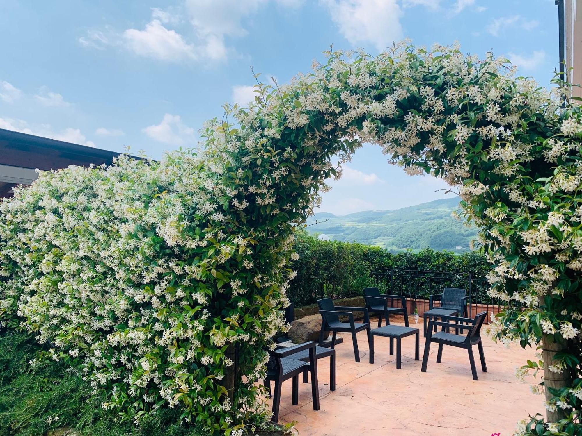 La Pietra Nera Farm stay San Giovanni Ilarione